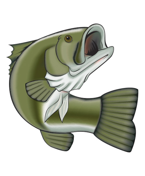Illustration of a bass